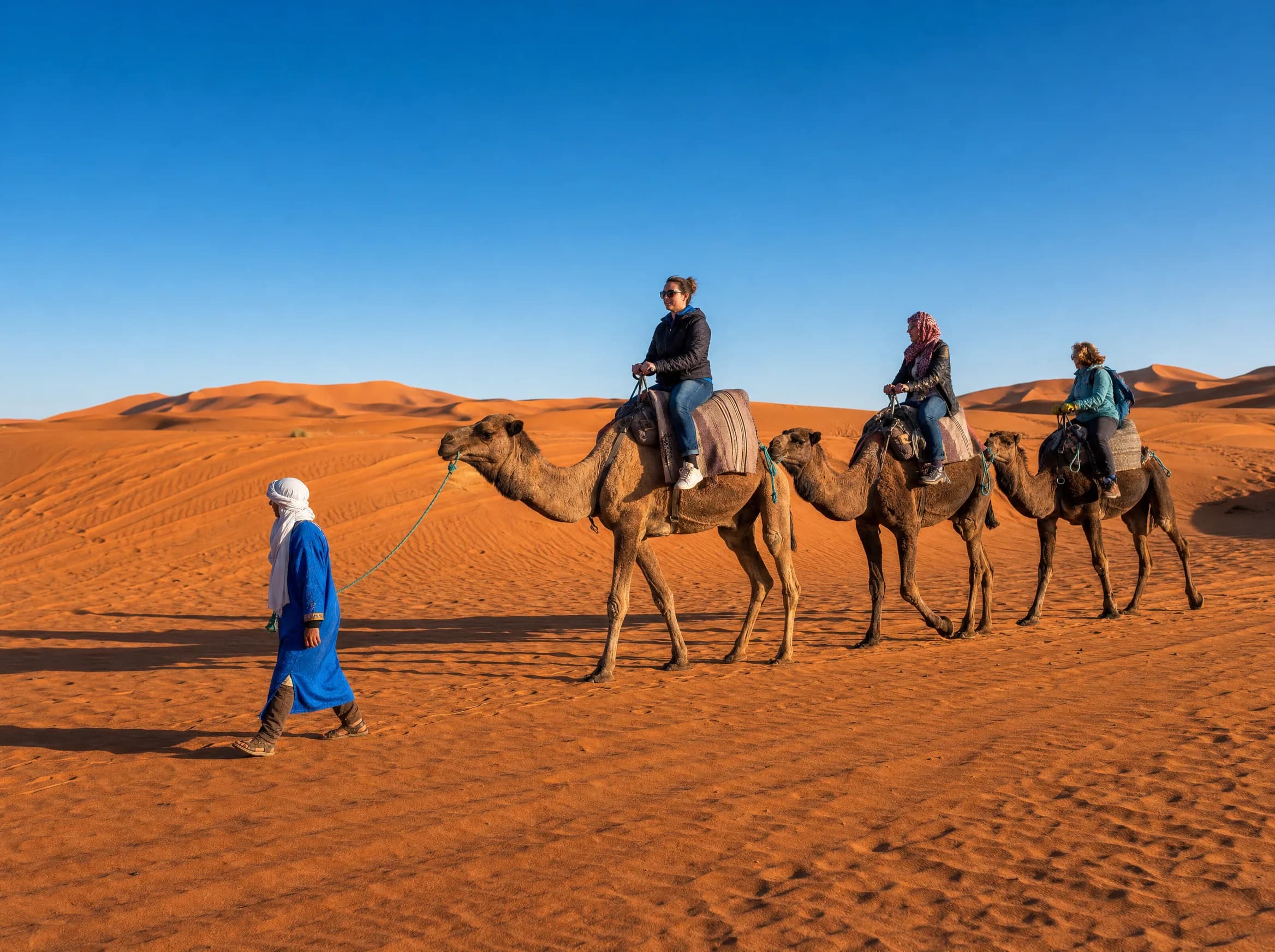 Une caravane de dromadaires rejoint un camp dans les dunes